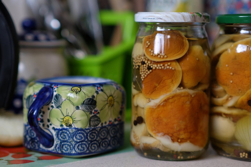 Mushroom Fermentation – How to Ferment Mushrooms?